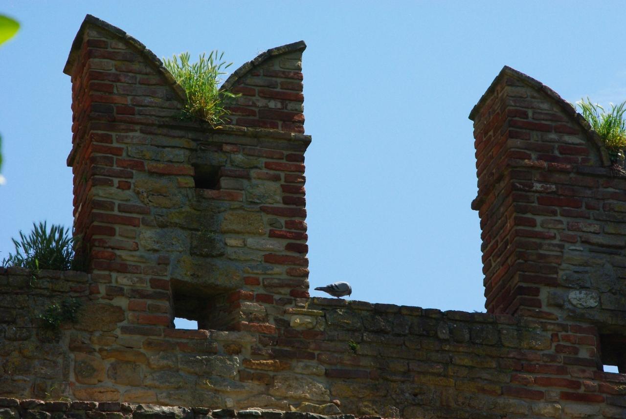 Villa Dircea CastellʼArquato Exteriör bild